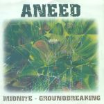 Midnite Groundbreaking - Aneed